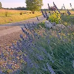 Le Moulin Du Comte Bed & Breakfast Bourrouillan