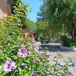 Le Moulin Du Comte 3* Bourrouillan