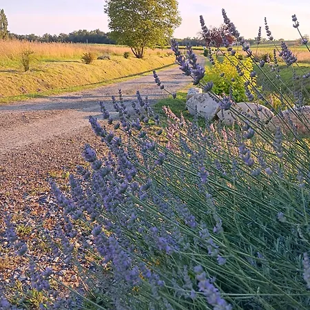 Le Moulin Du Comte Bed & Breakfast Bourrouillan