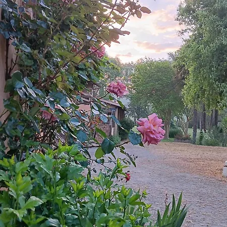 Le Moulin Du Comte Bed & Breakfast