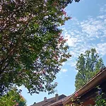 Bed & Breakfast Le Moulin Du Comte