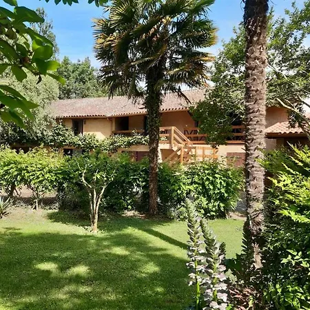 Le Moulin Du Comte Bed & Breakfast