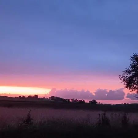 Le Moulin Du Comte 住宿加早餐酒店 3*