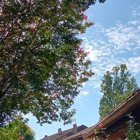 住宿加早餐酒店 Le Moulin Du Comte