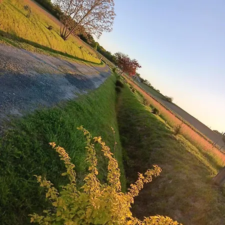 Le Moulin Du Comte *