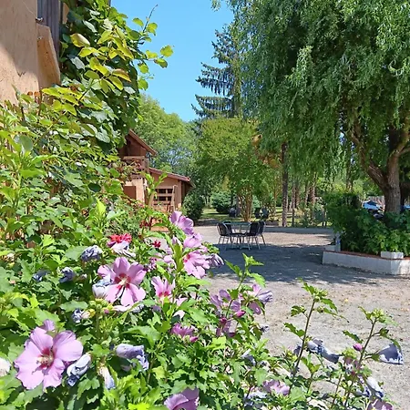 Le Moulin Du Comte * Bourrouillan