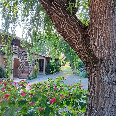 לינה וארוחת בוקר Le Moulin Du Comte