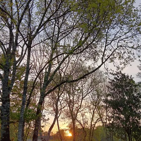 住宿加早餐酒店 Le Moulin Du Comte