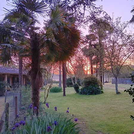 Le Moulin Du Comte Bourrouillan