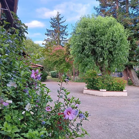 Le Moulin Du Comte 3* Bourrouillan