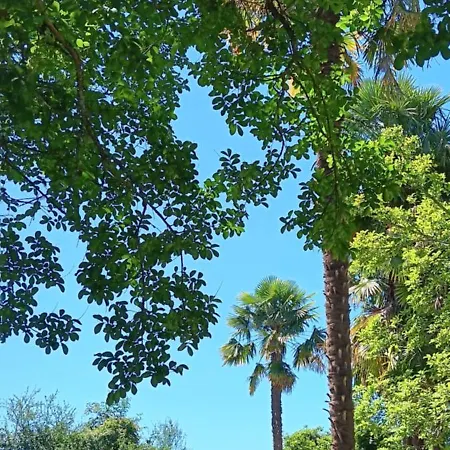 Le Moulin Du Comte 3* Bourrouillan