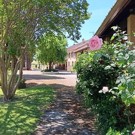 Le Moulin Du Comte Oda ve Kahvaltı
