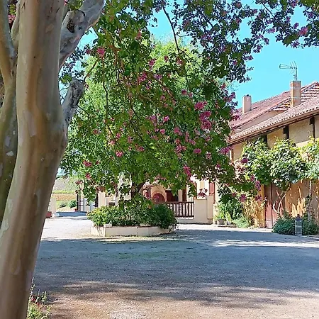 Le Moulin Du Comte, Entre Nogaro Et Eauze 3*