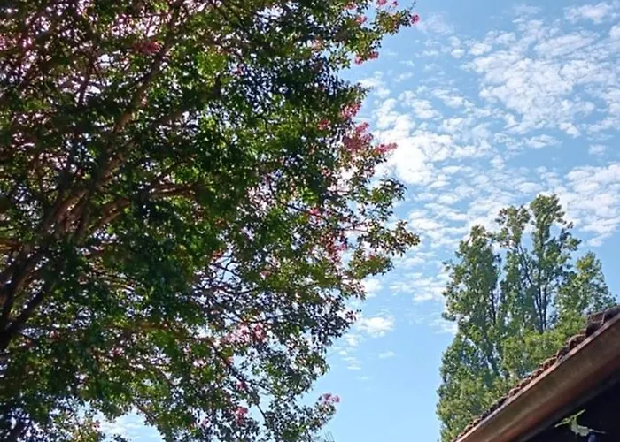 住宿加早餐酒店 Le Moulin Du Comte