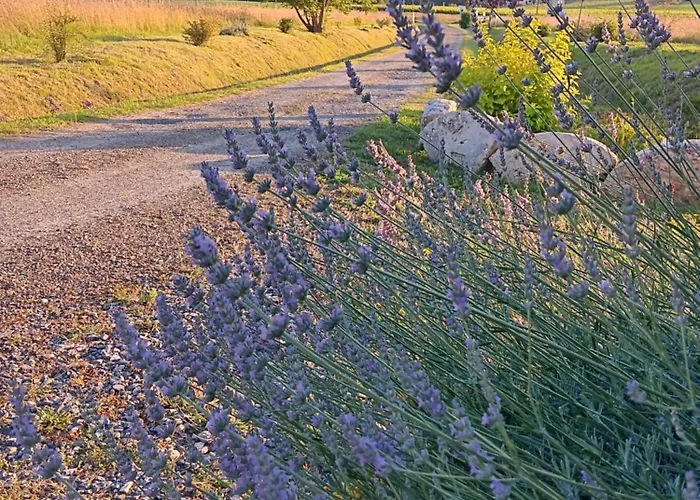 Le Moulin Du Comte Frühstückspension Bourrouillan