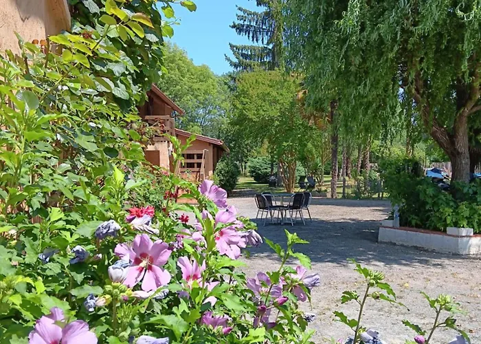 Le Moulin Du Comte 3* Bourrouillan