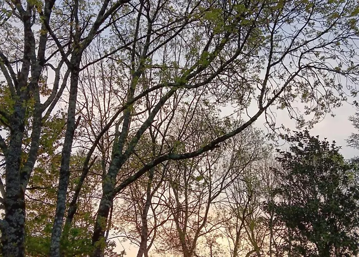 住宿加早餐酒店 Le Moulin Du Comte