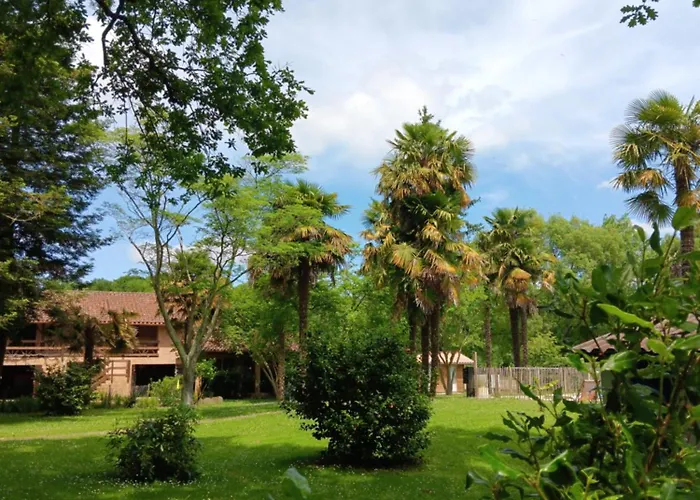 住宿加早餐酒店 Le Moulin Du Comte Bourrouillan