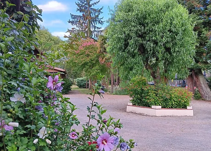 Le Moulin Du Comte 3* Bourrouillan
