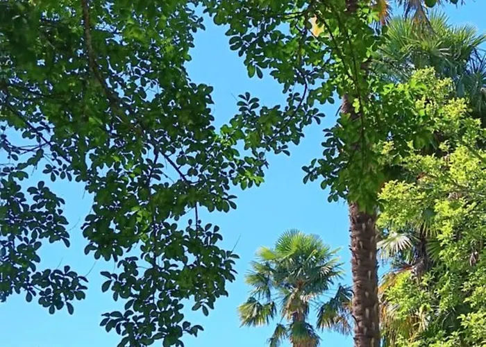 Le Moulin Du Comte 3* Bourrouillan